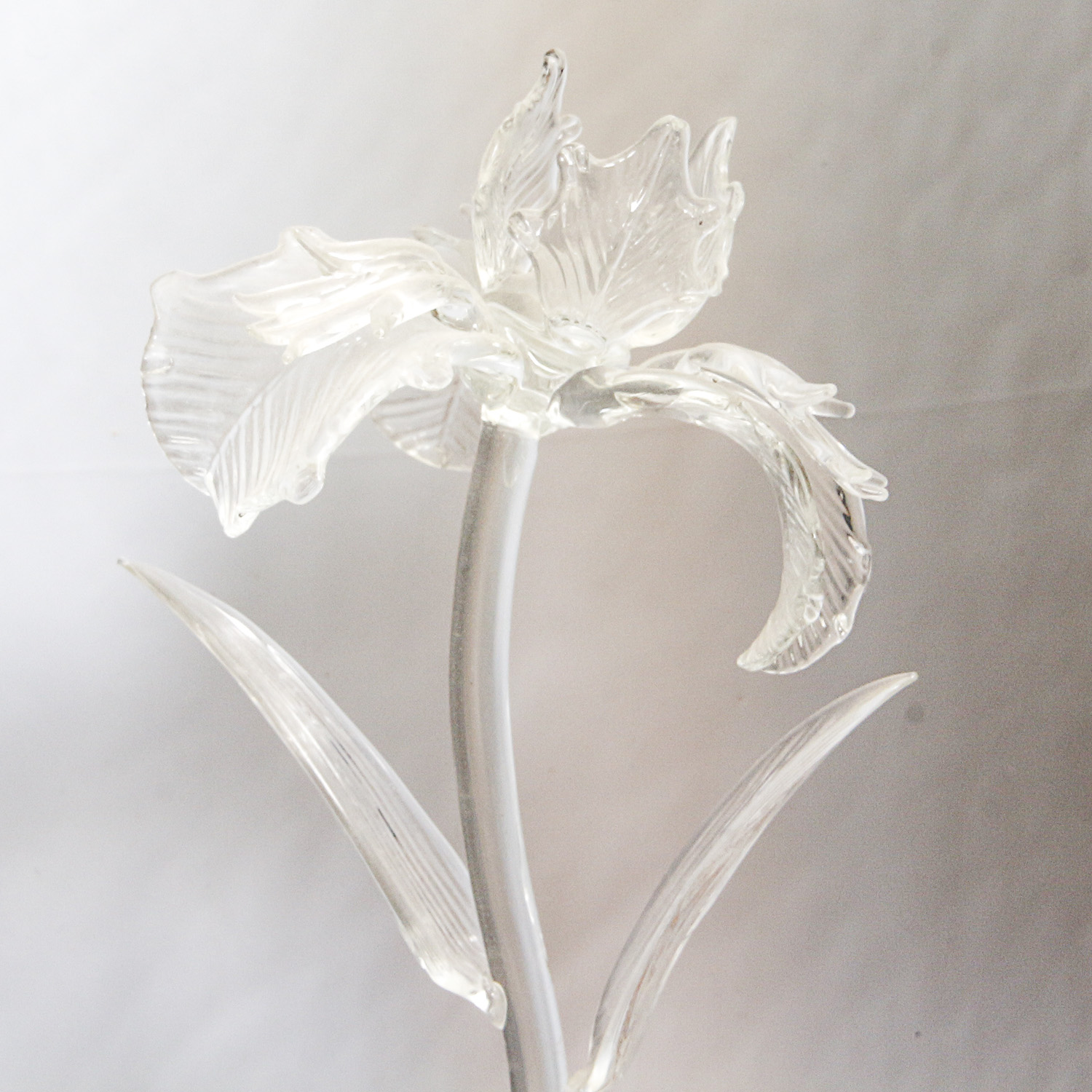 Marc Jacobs Waterford Crystal  "Clare" Flowers