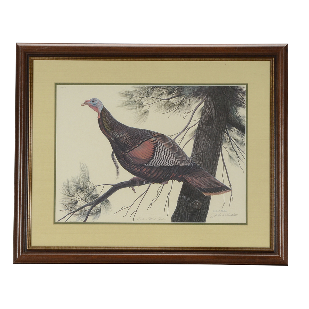 John Ruthven Signed Limited Edition Offset Lithograph "Eastern Wild Turkey"