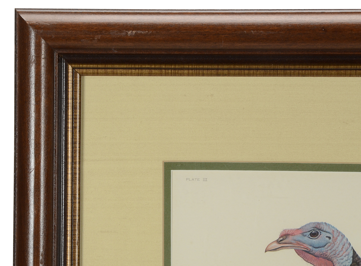 John Ruthven Signed Limited Edition Offset Lithograph "Eastern Wild Turkey"