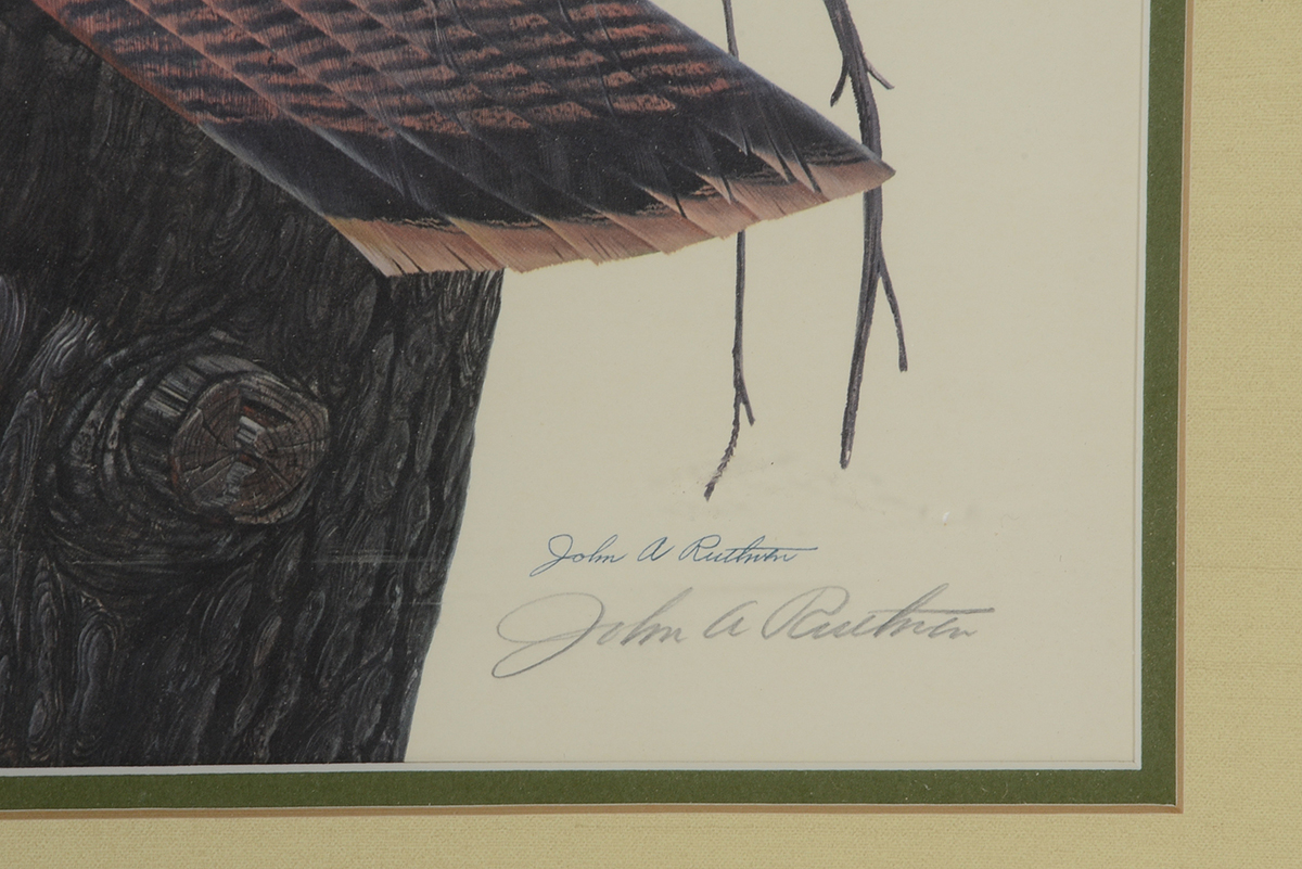 John Ruthven Signed Limited Edition Offset Lithograph "Eastern Wild Turkey"