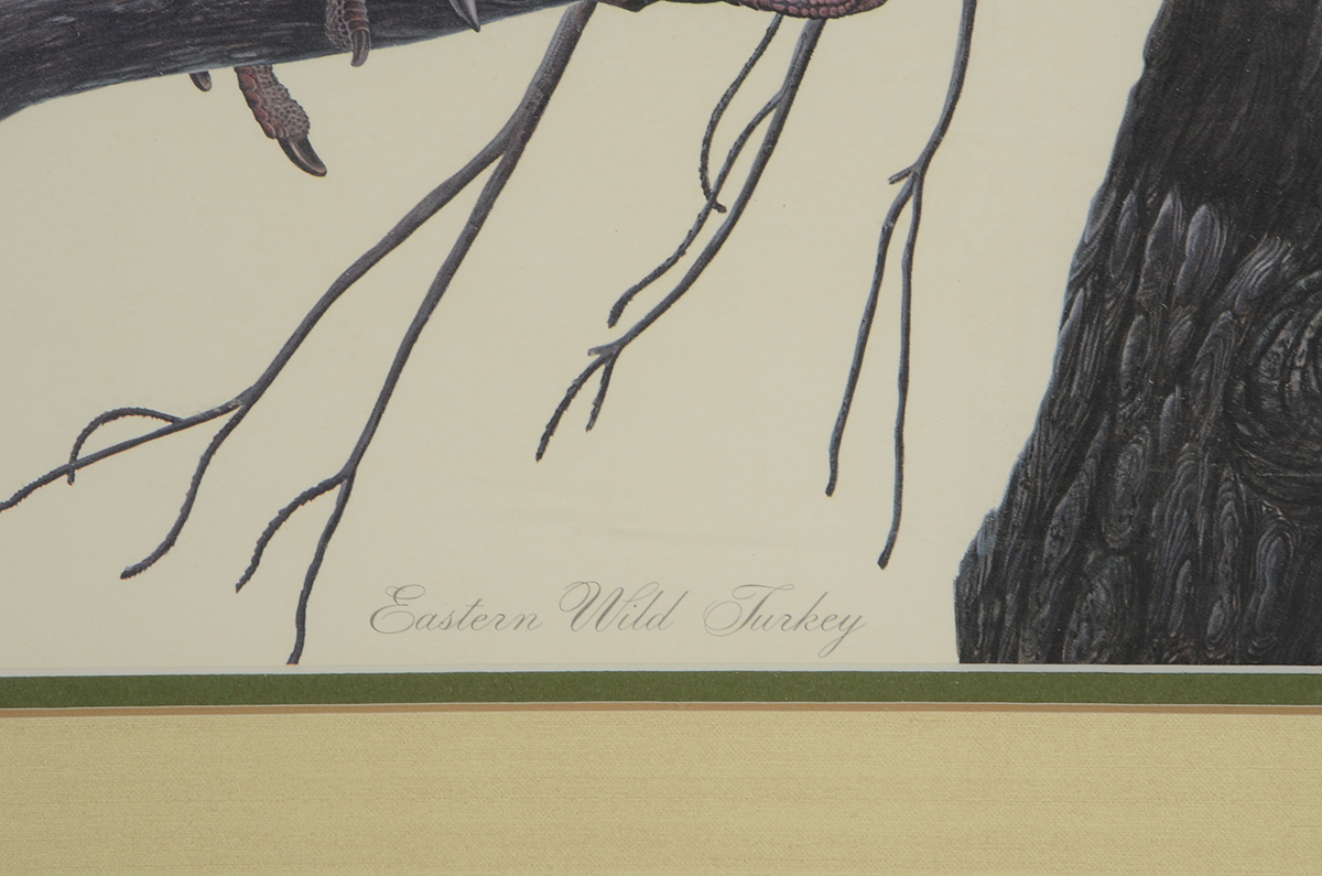 John Ruthven Signed Limited Edition Offset Lithograph "Eastern Wild Turkey"