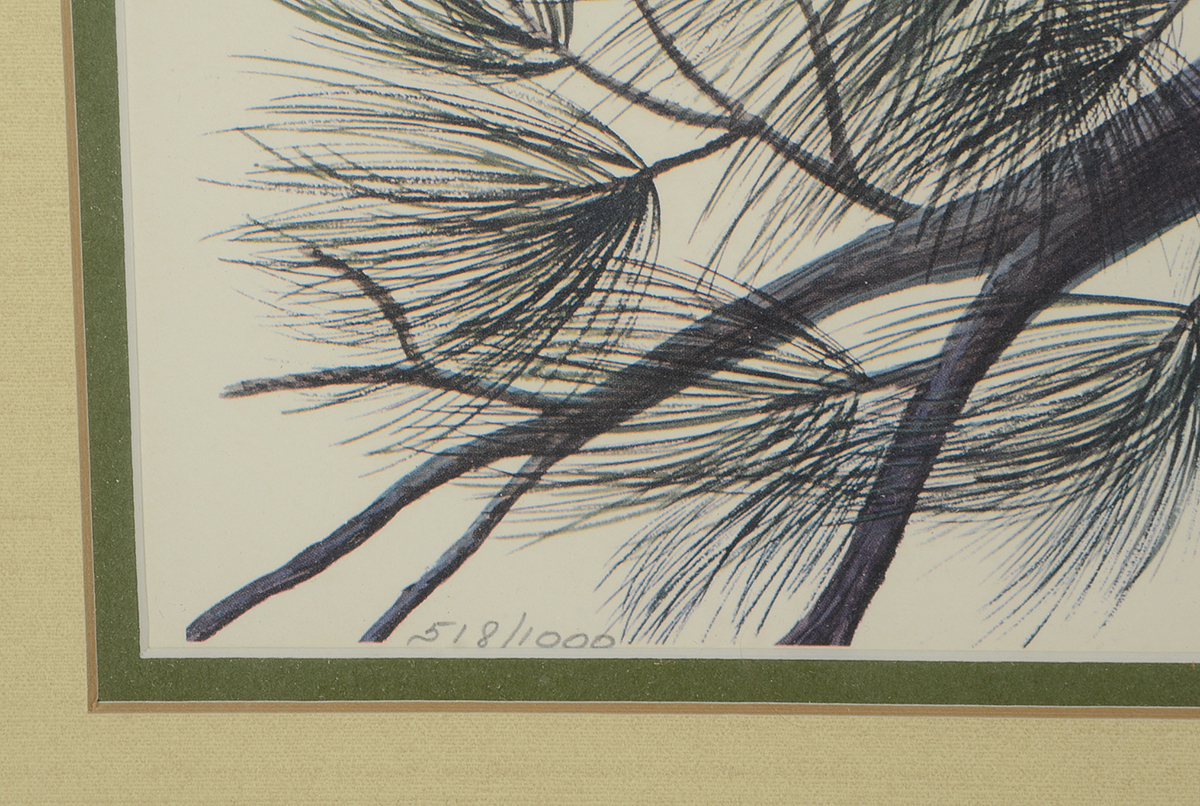 John Ruthven Signed Limited Edition Offset Lithograph "Eastern Wild Turkey"