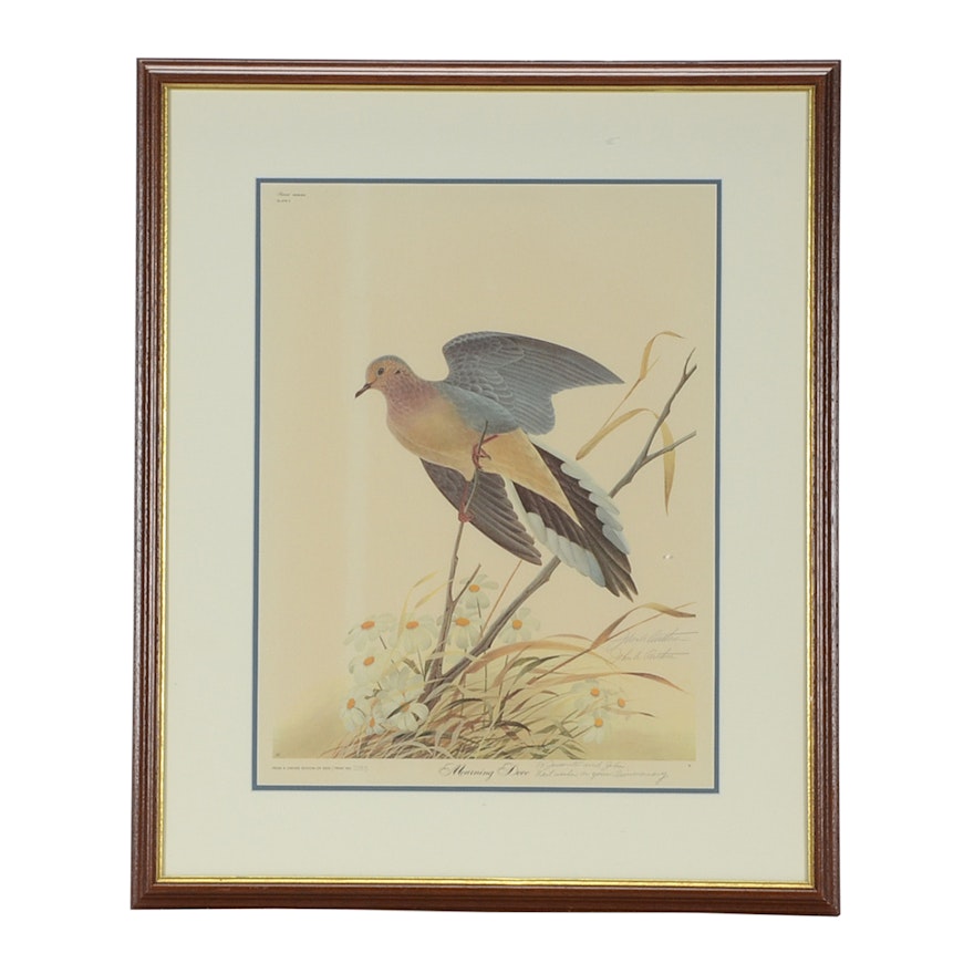 John Ruthven Signed Limited Edition Offset Lithograph "Mourning Dove"