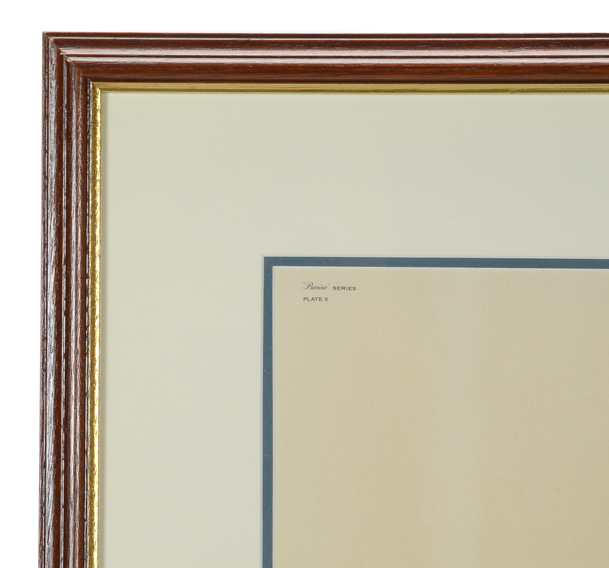 John Ruthven Signed Limited Edition Offset Lithograph "Mourning Dove"