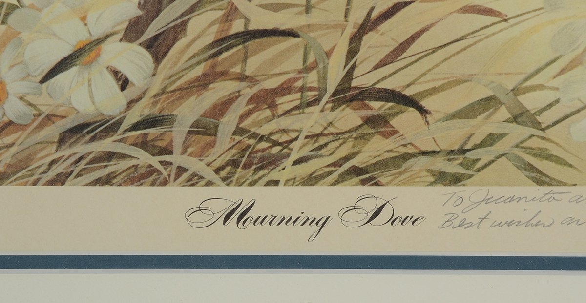 John Ruthven Signed Limited Edition Offset Lithograph "Mourning Dove"