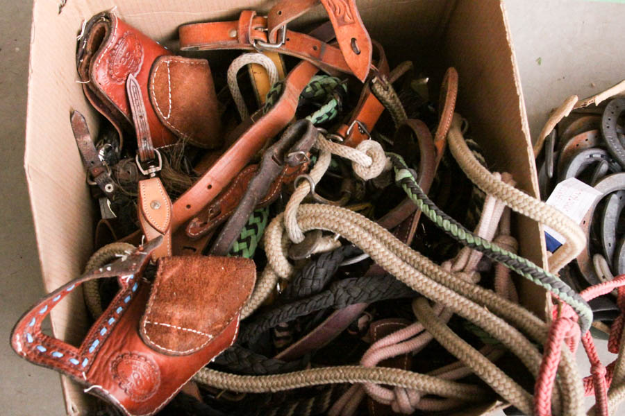 Horse Bits and Brushes