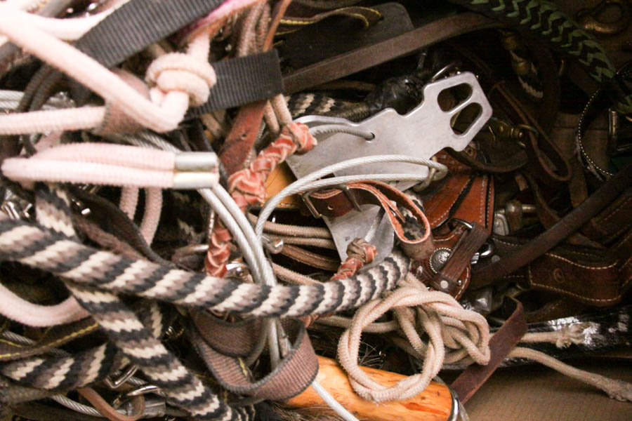Horse Bits and Brushes