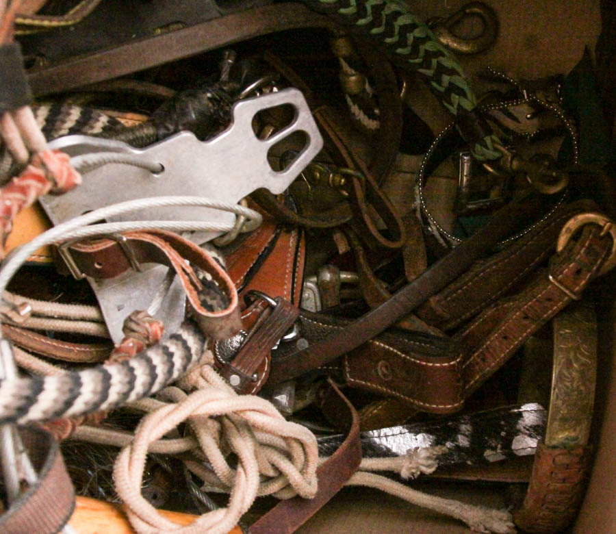 Horse Bits and Brushes