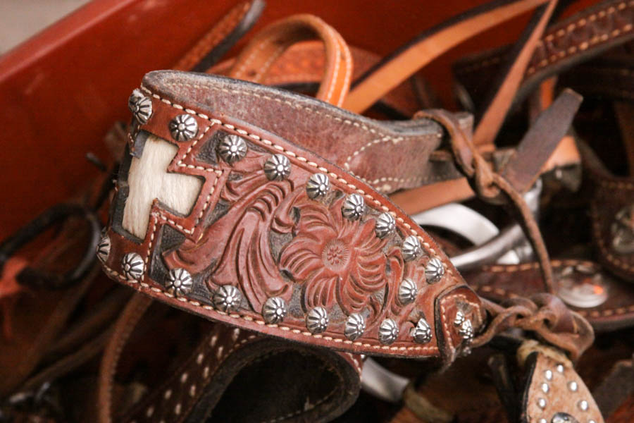 Variety of Horse Gear