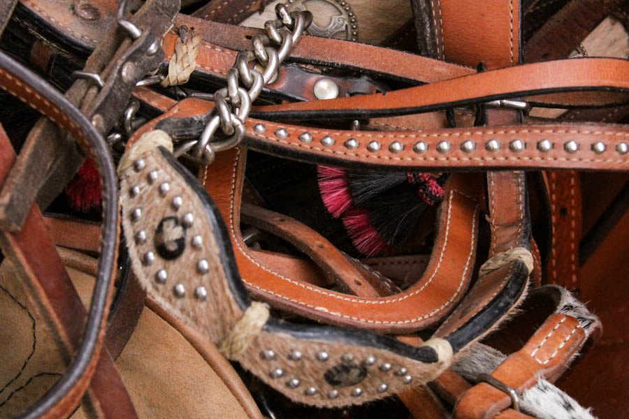 Variety of Horse Gear