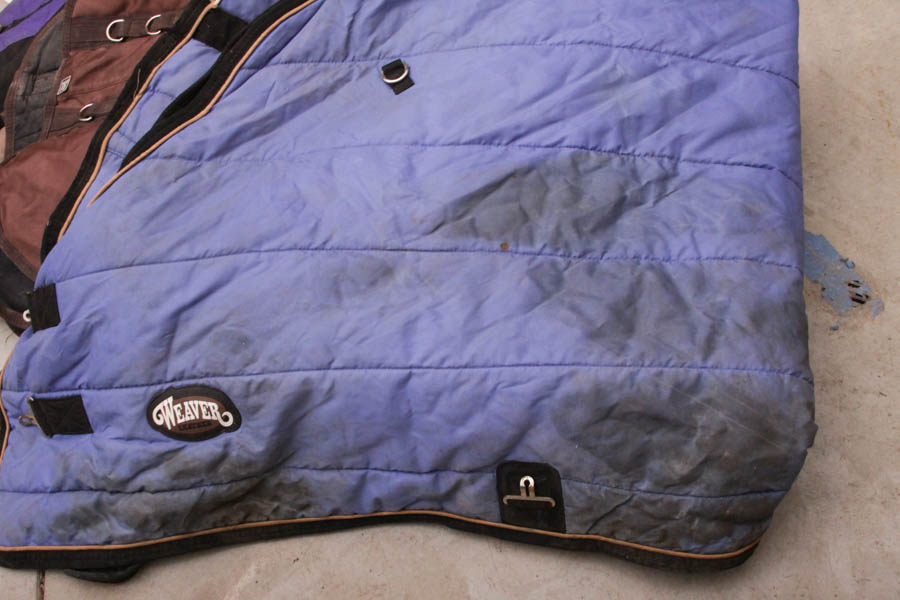 Horse Blankets