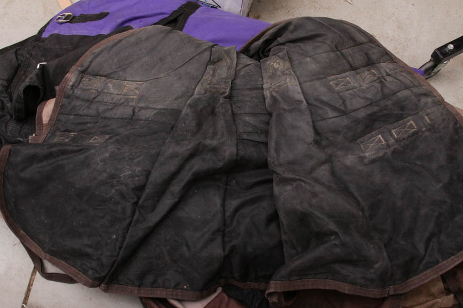 Horse Blankets