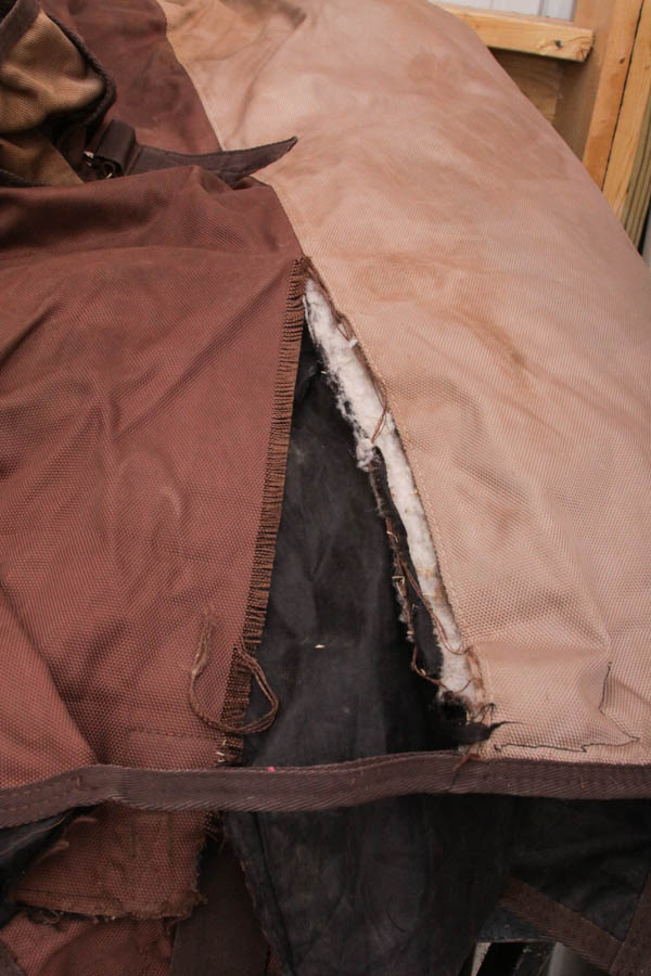 Horse Blankets