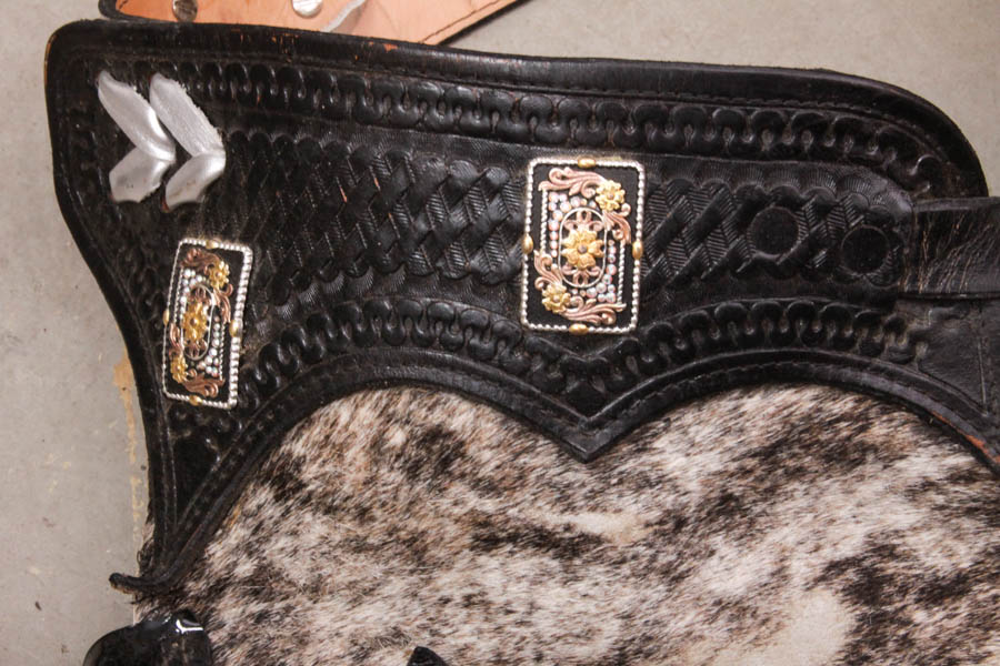 Fancy Western-Style Riding Chaps
