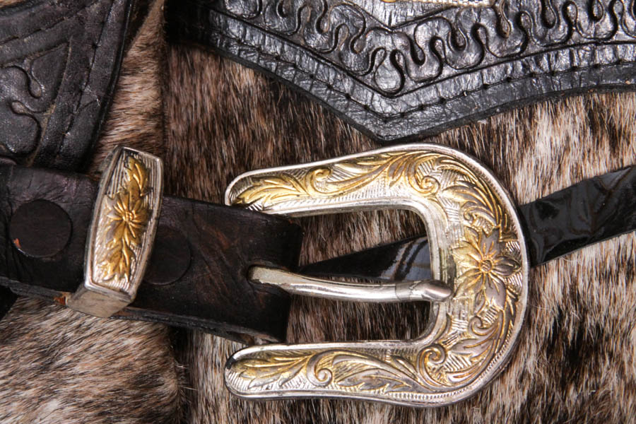 Fancy Western-Style Riding Chaps