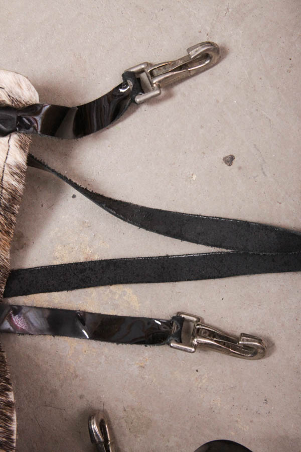 Fancy Western-Style Riding Chaps
