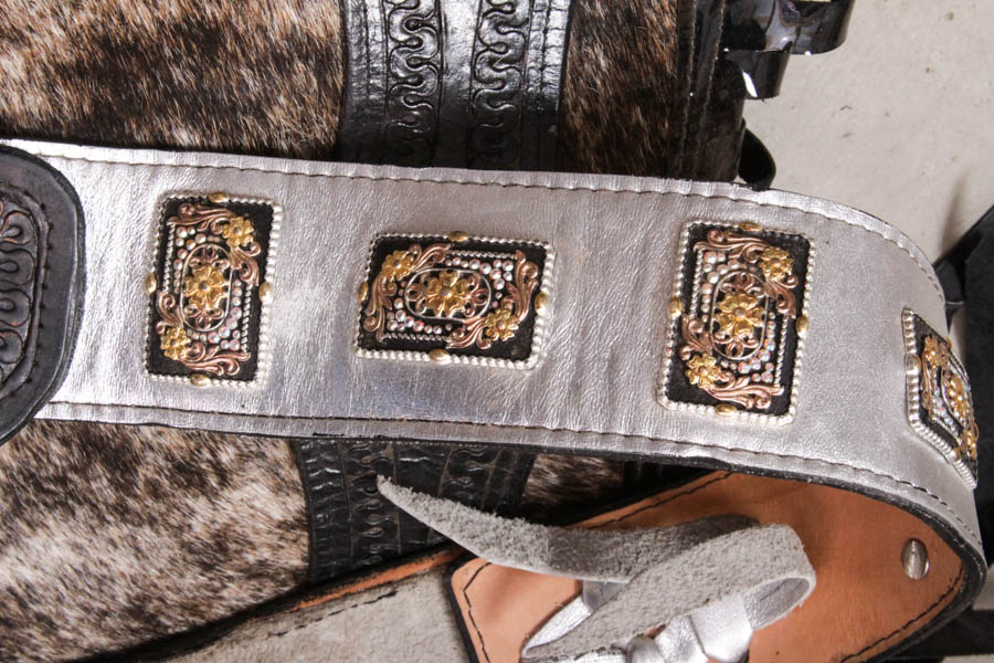 Fancy Western-Style Riding Chaps