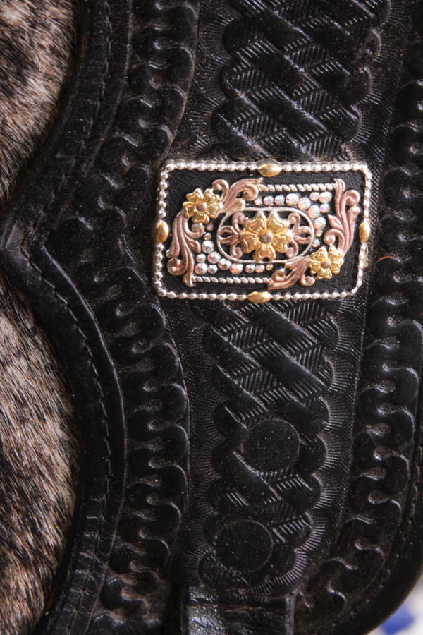 Fancy Western-Style Riding Chaps