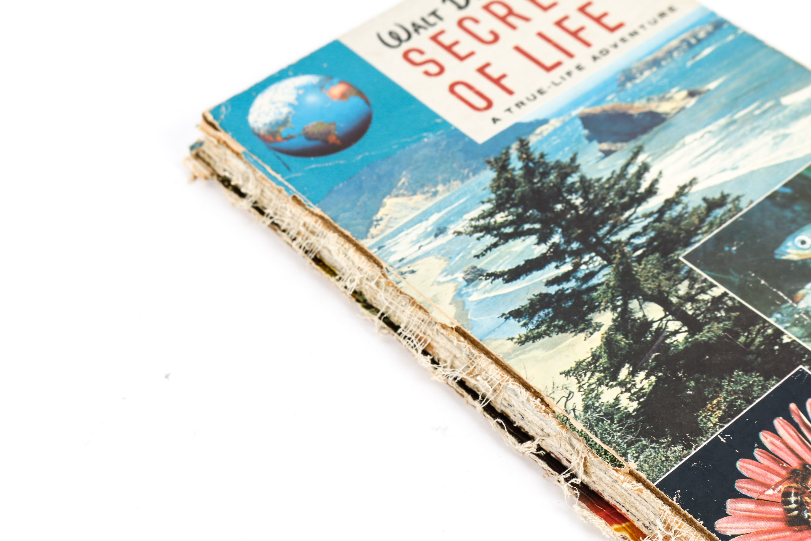 Collection of Vintage Children's Books