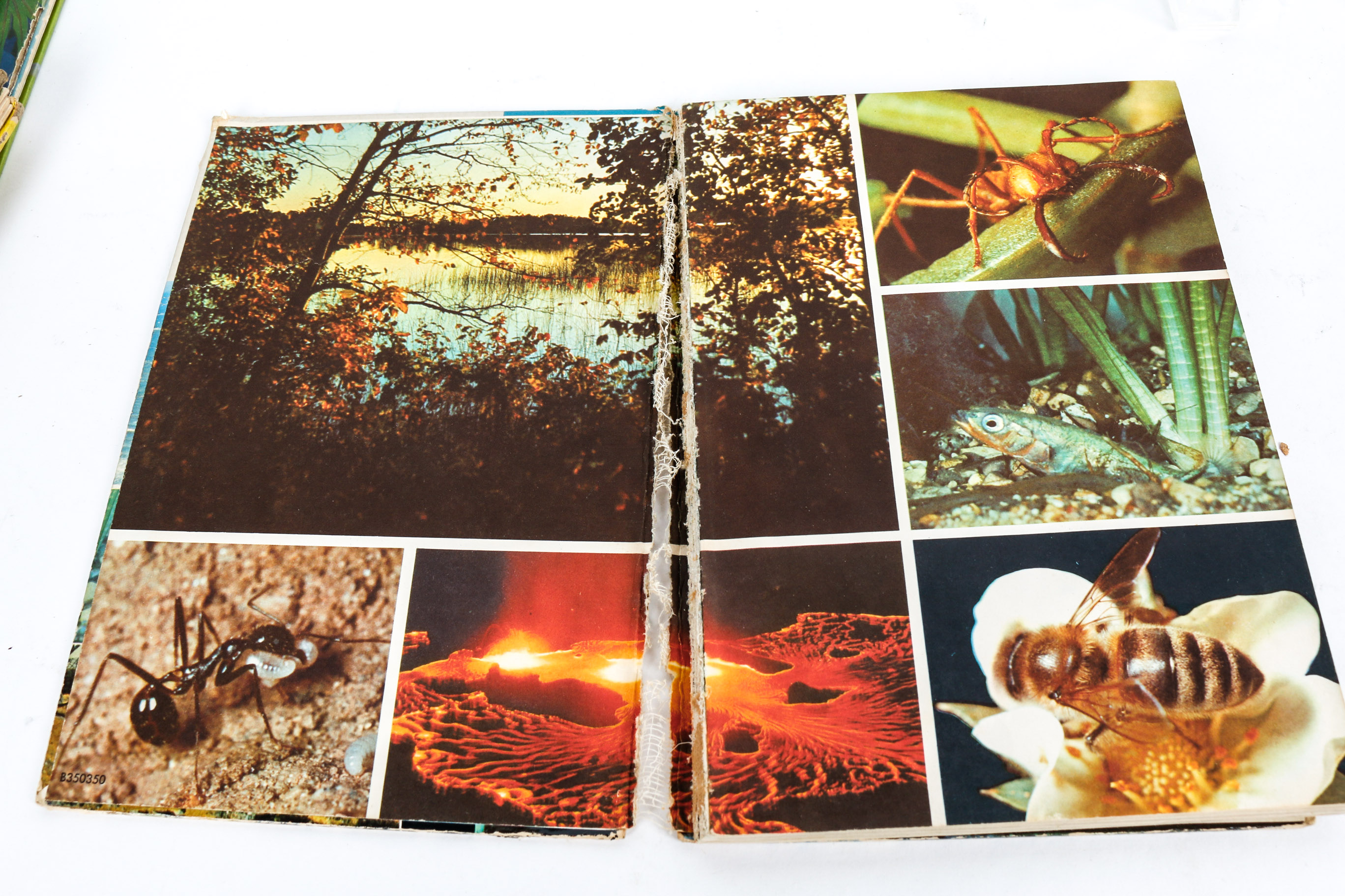 Collection of Vintage Children's Books