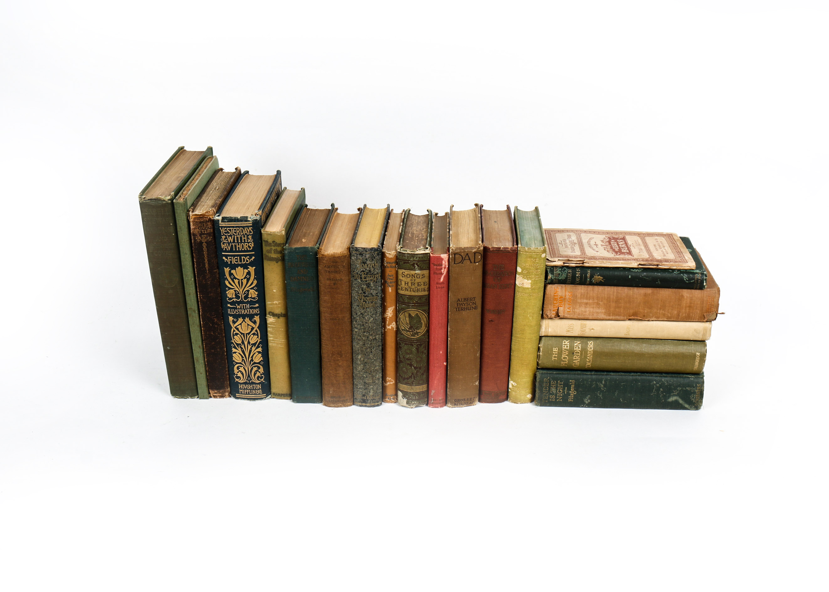 Collection of Vintage Books