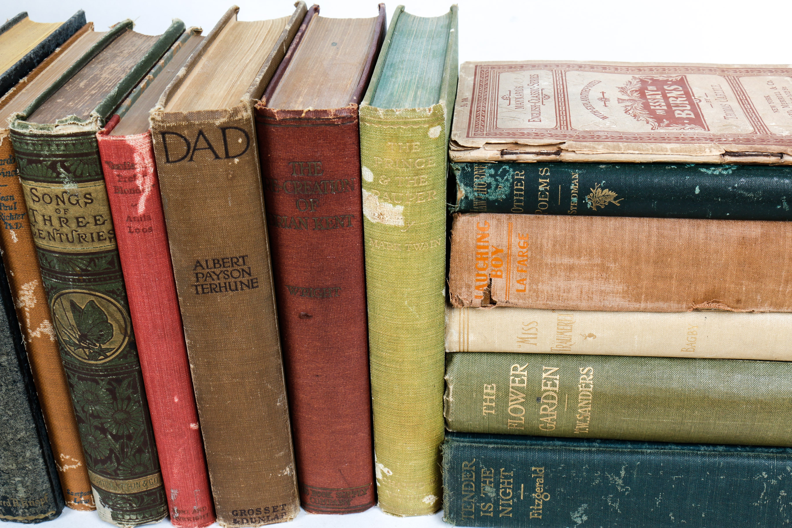 Collection of Vintage Books