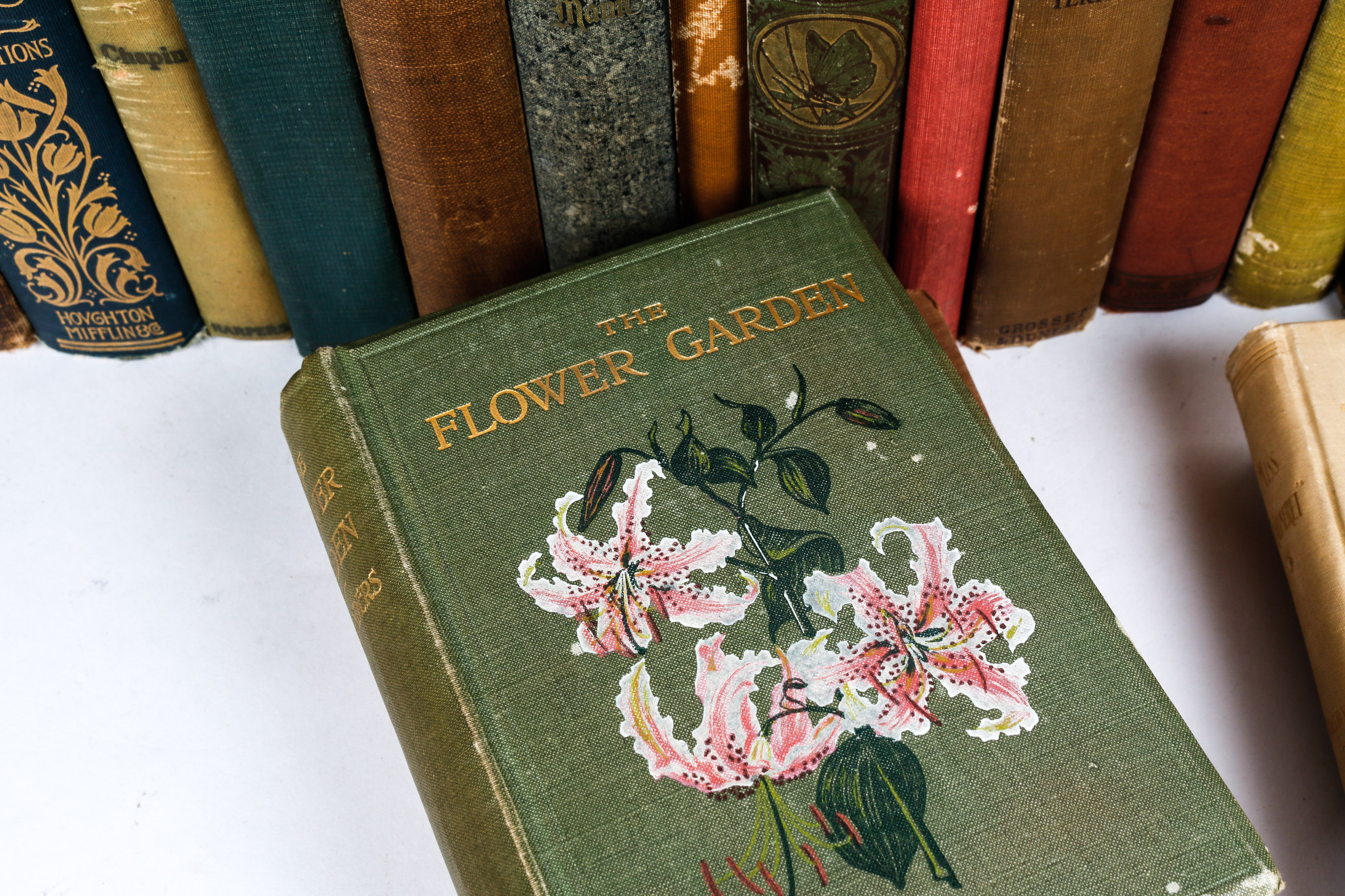 Collection of Vintage Books