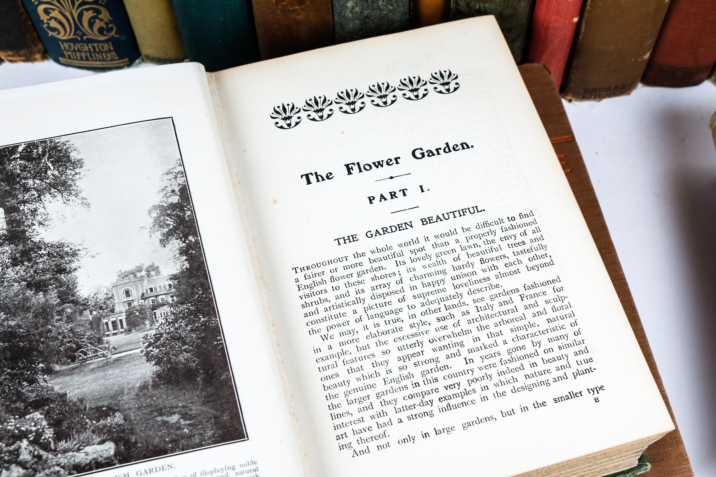 Collection of Vintage Books