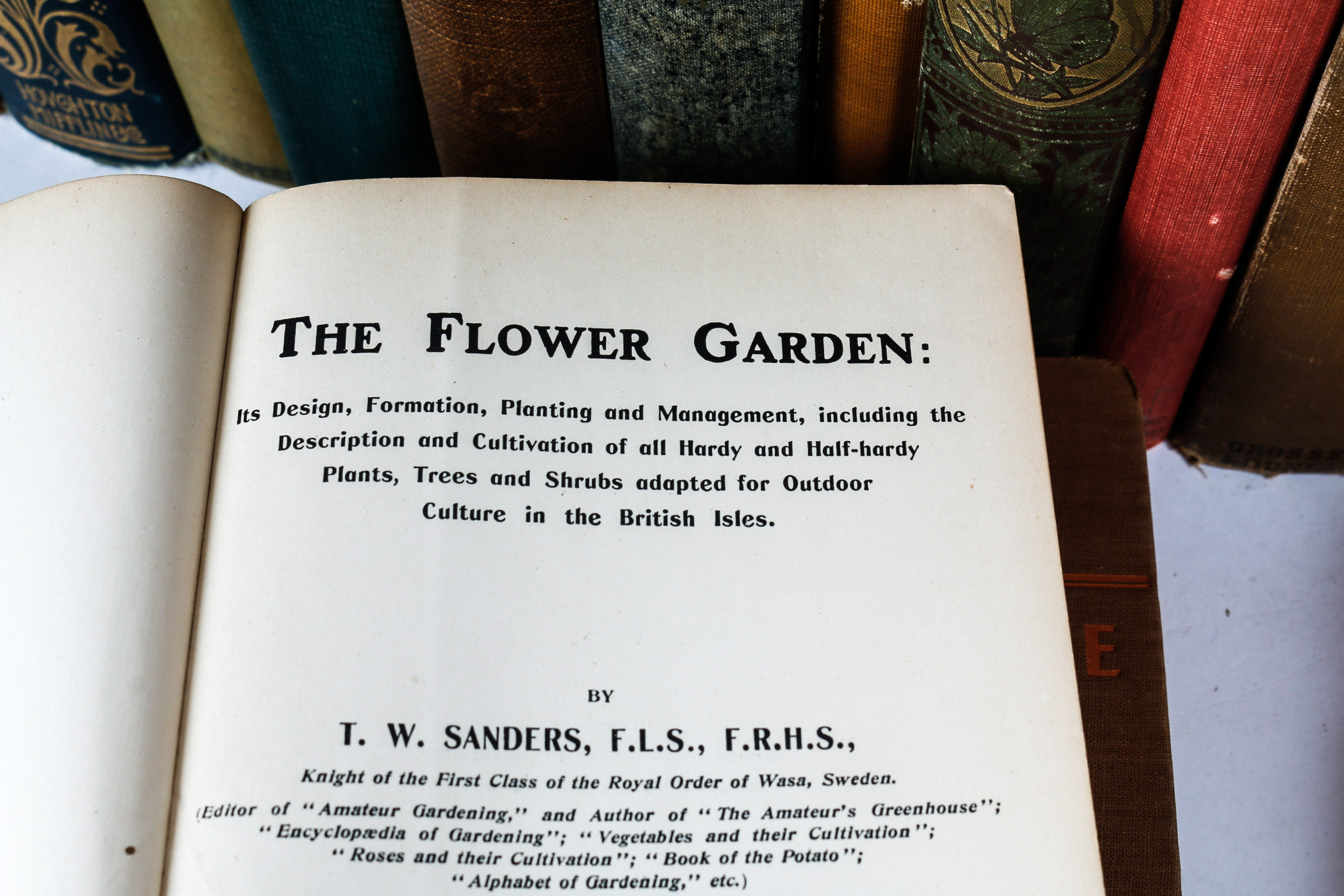 Collection of Vintage Books