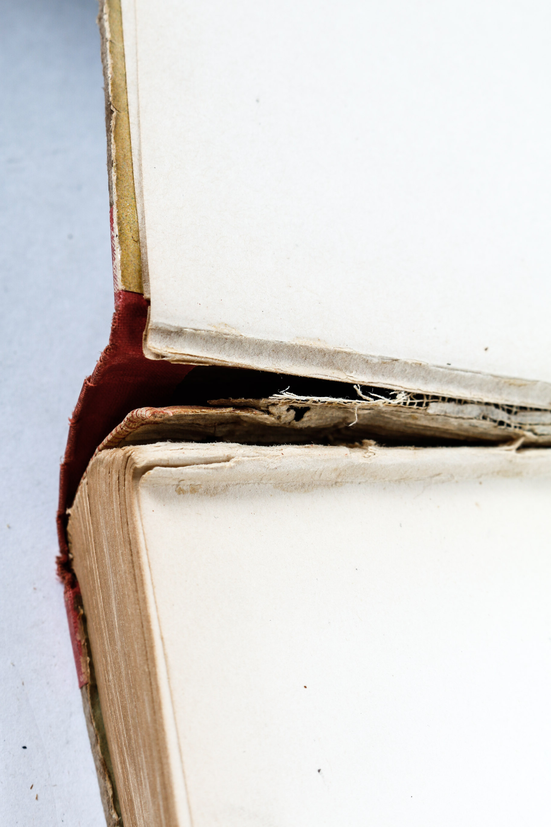 Collection of First Edition Books