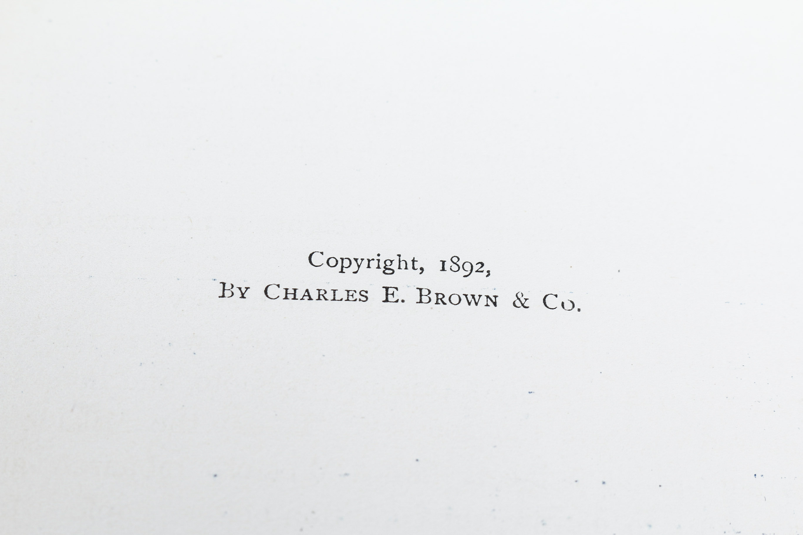 Collection of First Edition Books