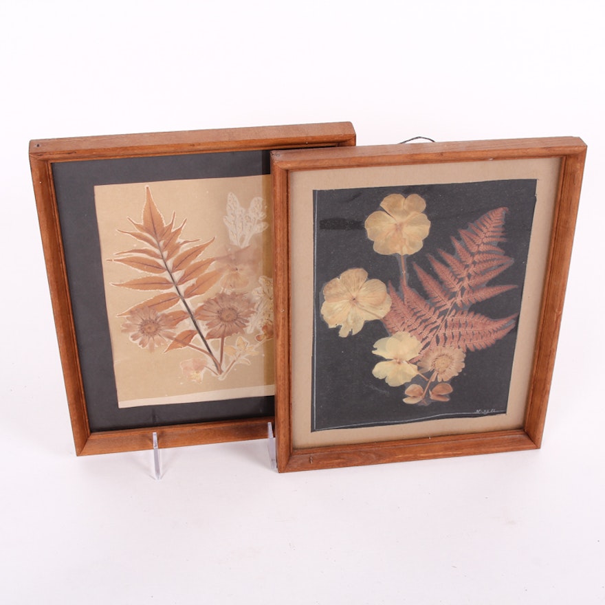 Pair of Framed Pressed Flower Art Pieces