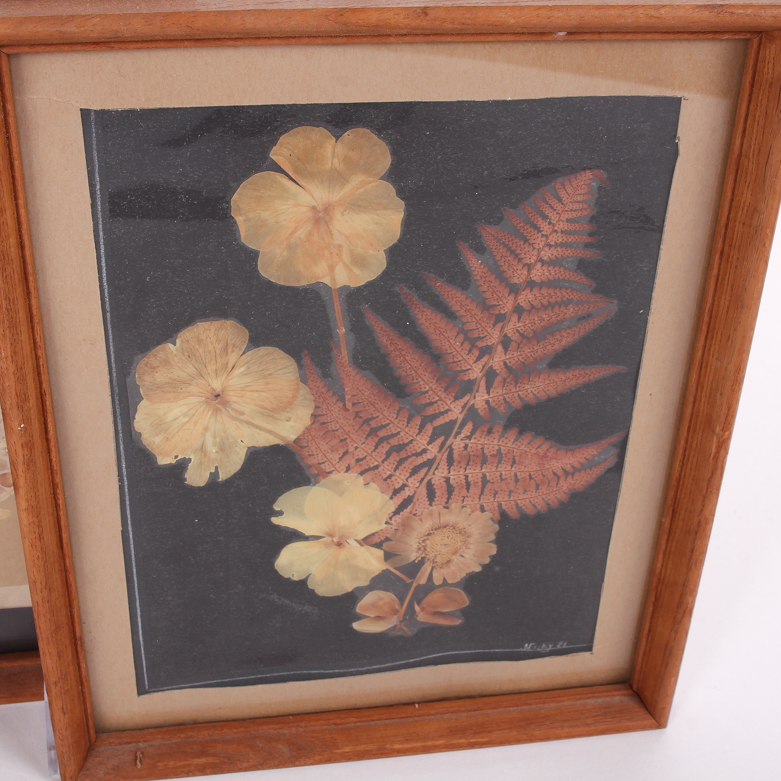 Pair of Framed Pressed Flower Art Pieces