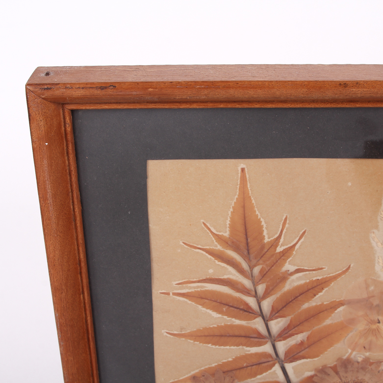 Pair of Framed Pressed Flower Art Pieces