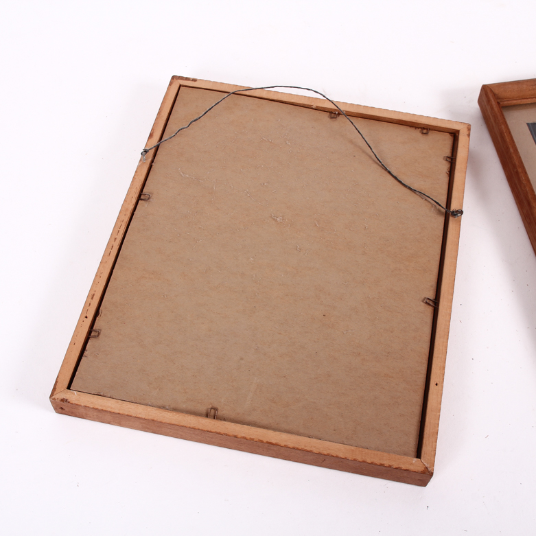 Pair of Framed Pressed Flower Art Pieces