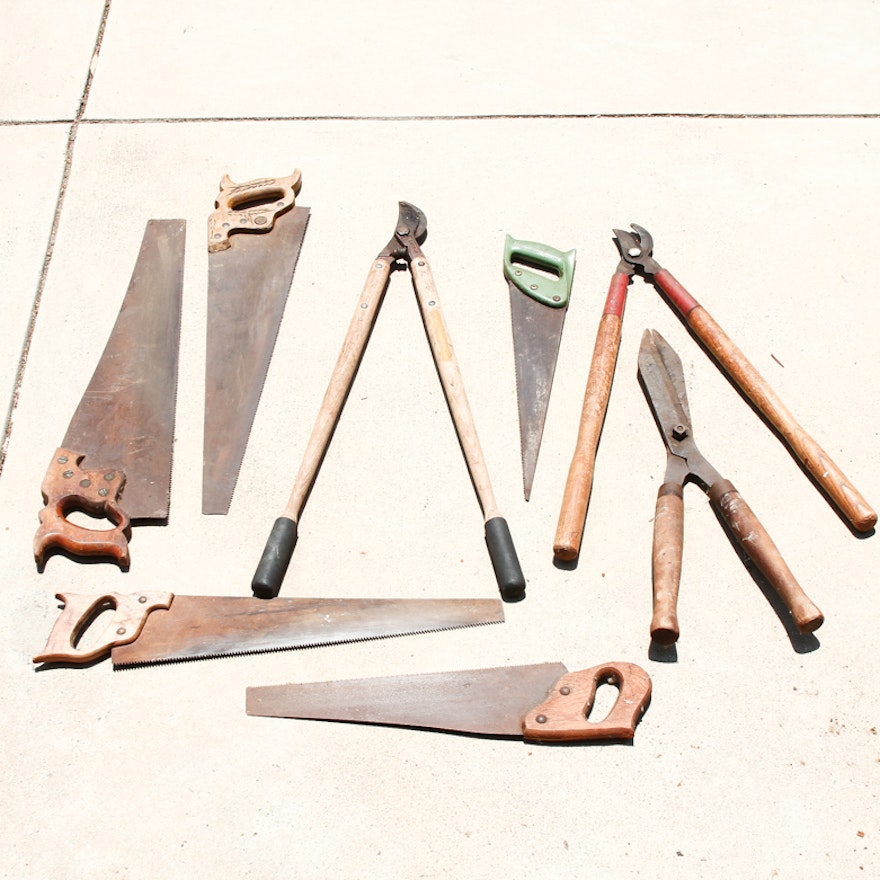 Collection of Vintage Hand Saws and Hedge Shears