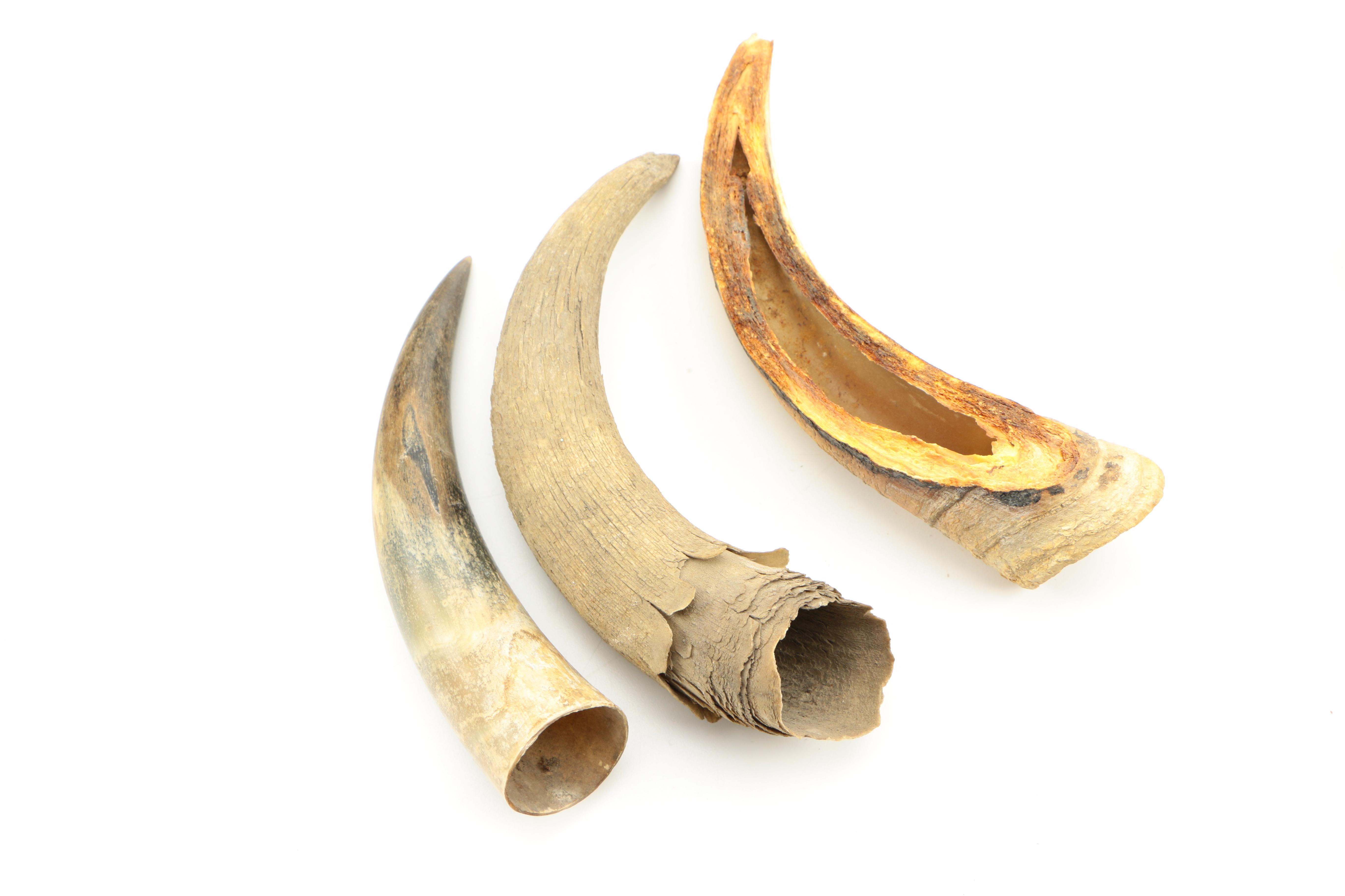 Assortment of Ethnographic Tools and Vessels