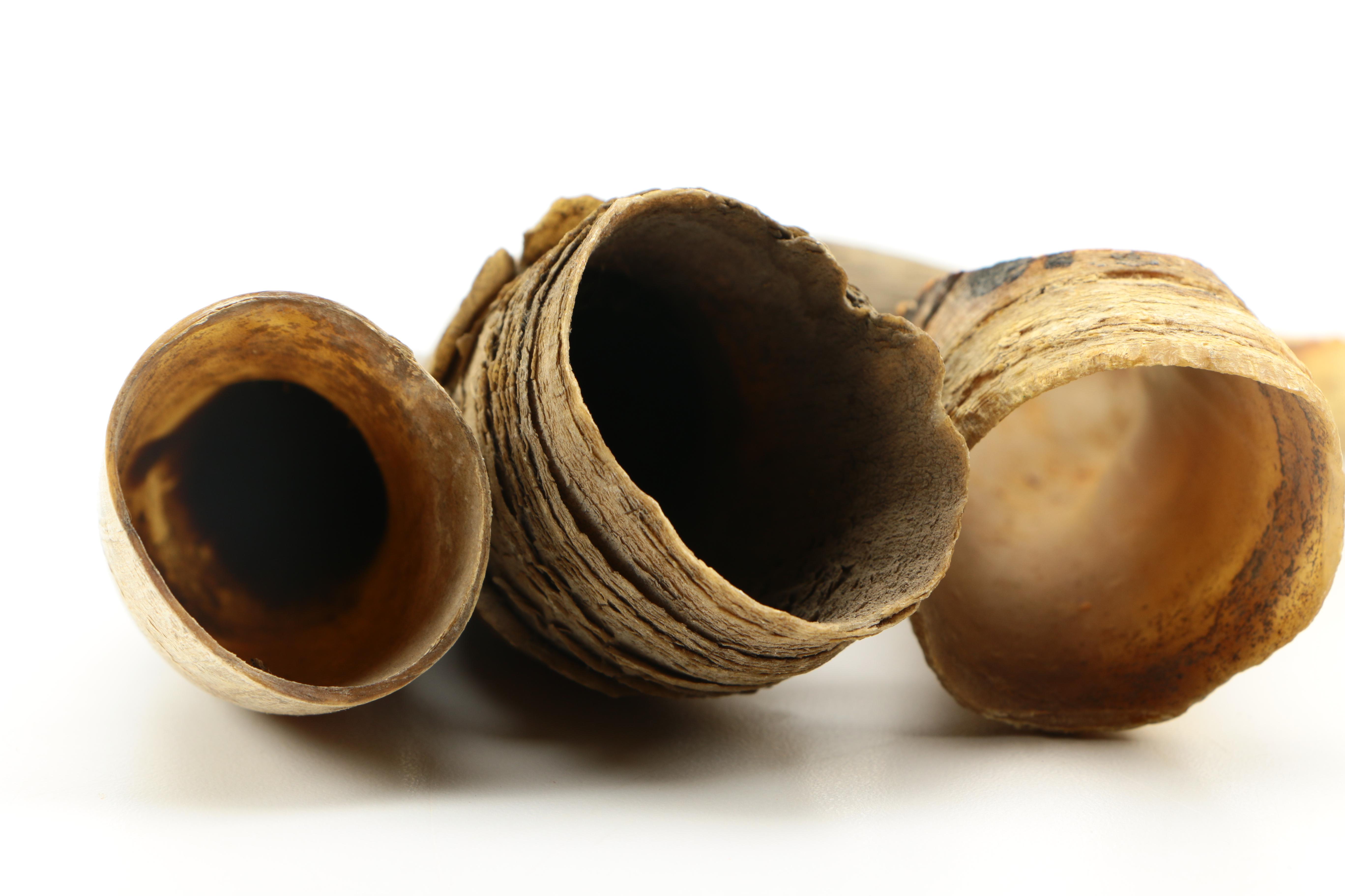 Assortment of Ethnographic Tools and Vessels