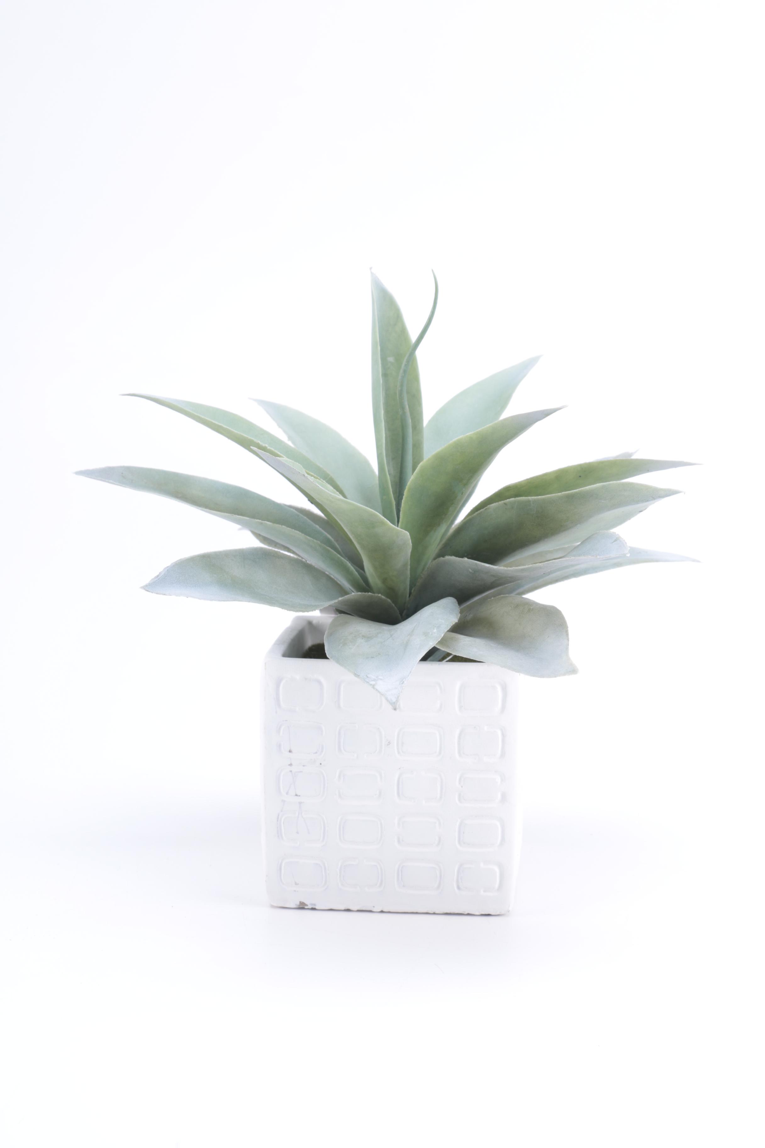 Modern White Home Decor