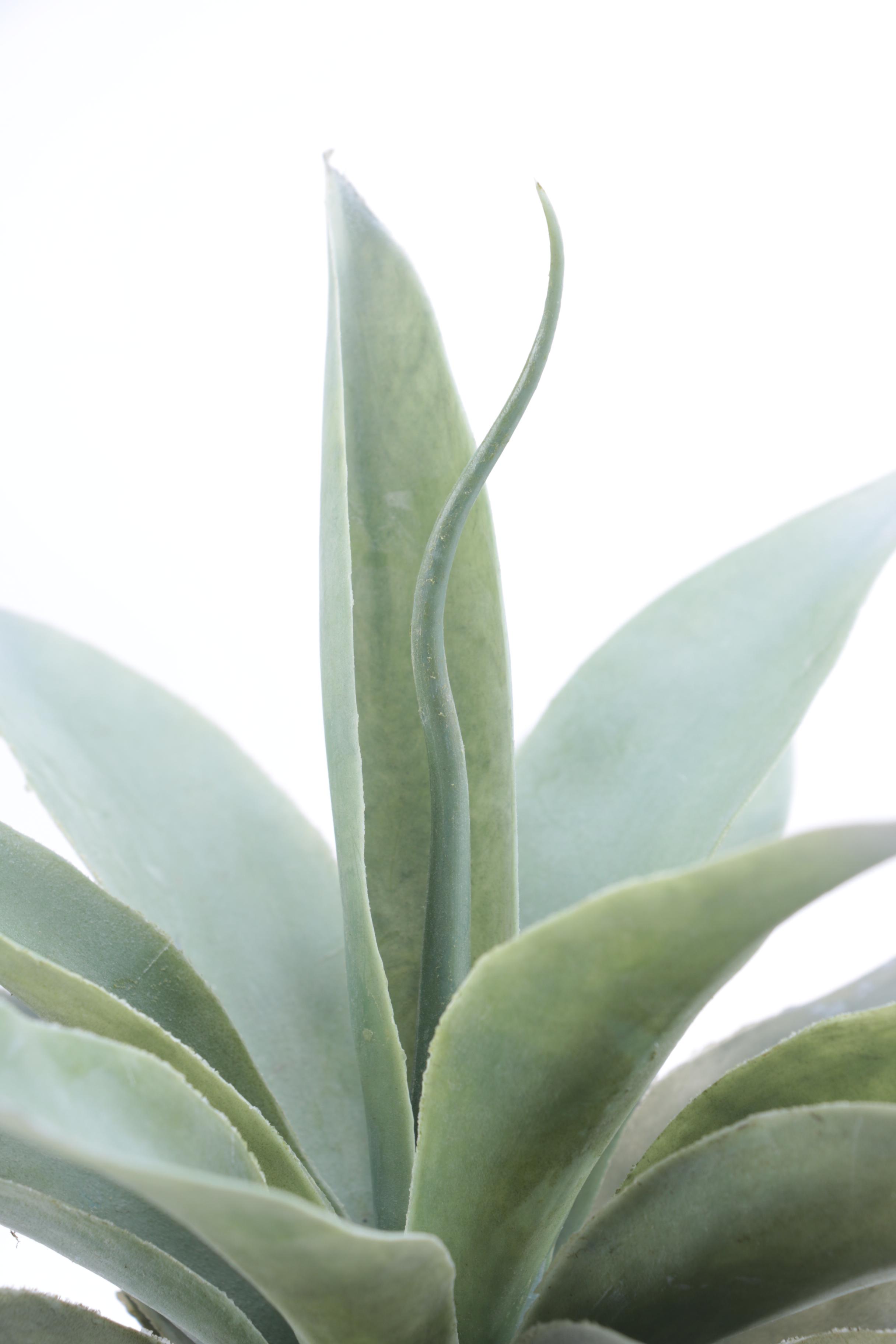 Modern White Home Decor