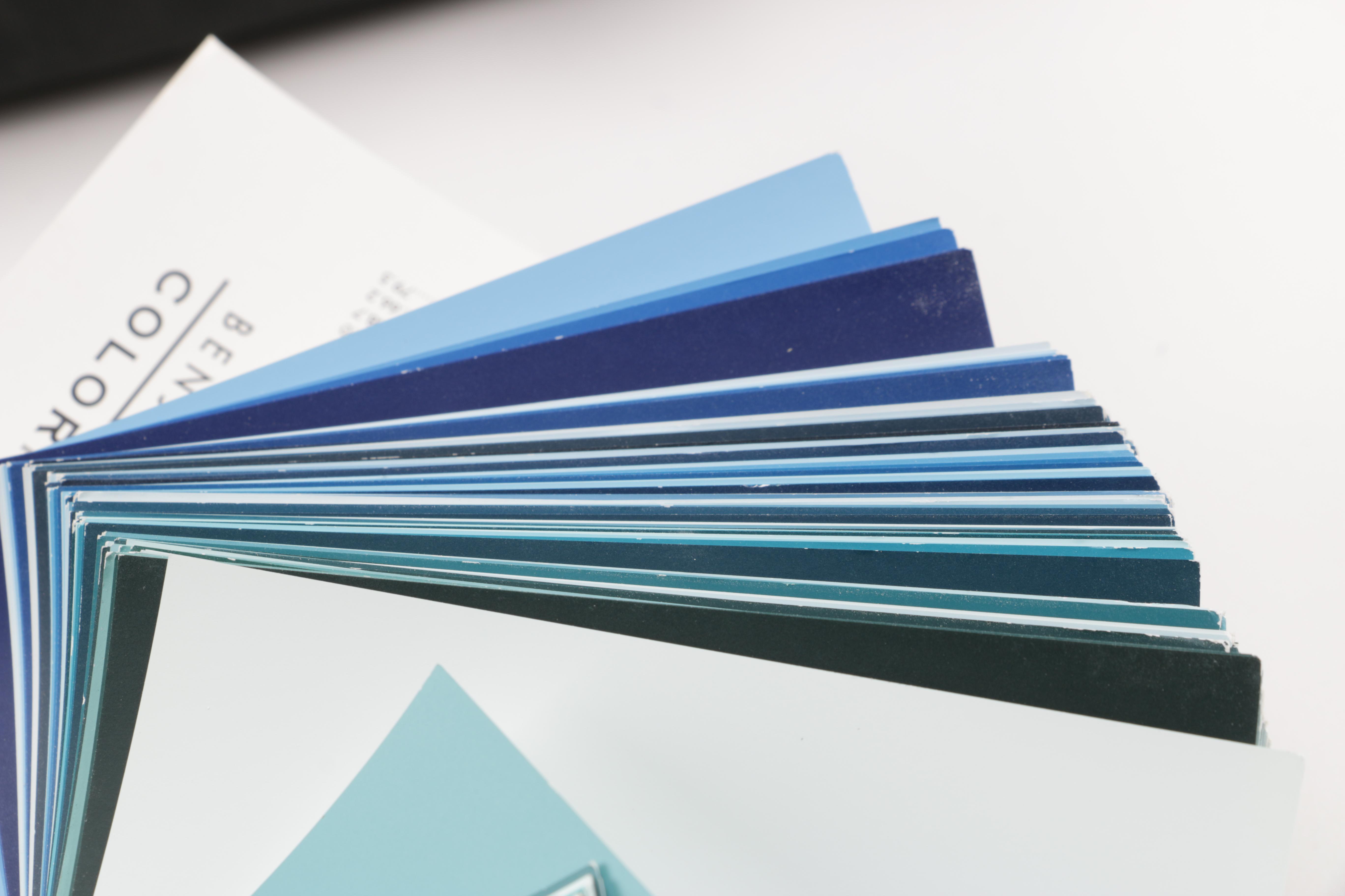 Benjamin Moore Color Preview bag