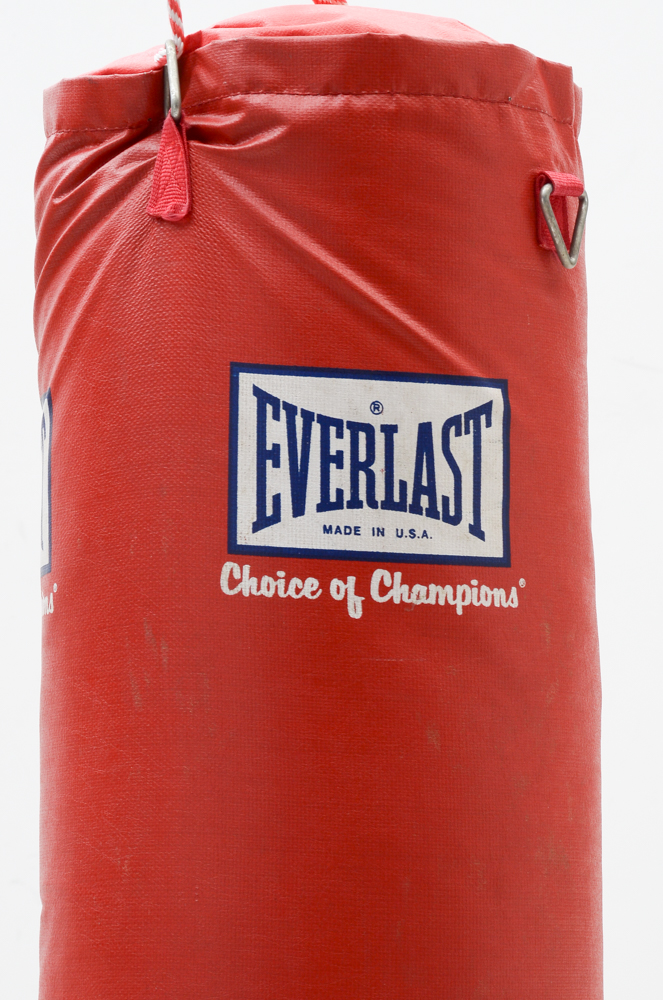 Everlast PowerCore Heavy Bag
