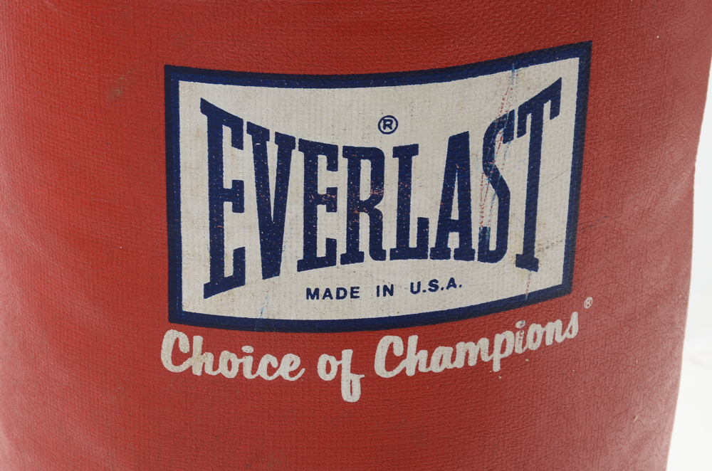 Everlast PowerCore Heavy Bag