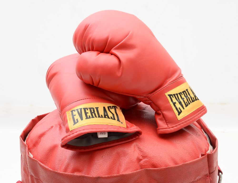Everlast PowerCore Heavy Bag