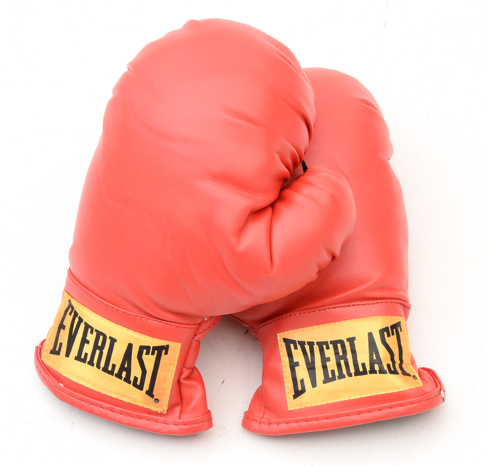 Everlast PowerCore Heavy Bag