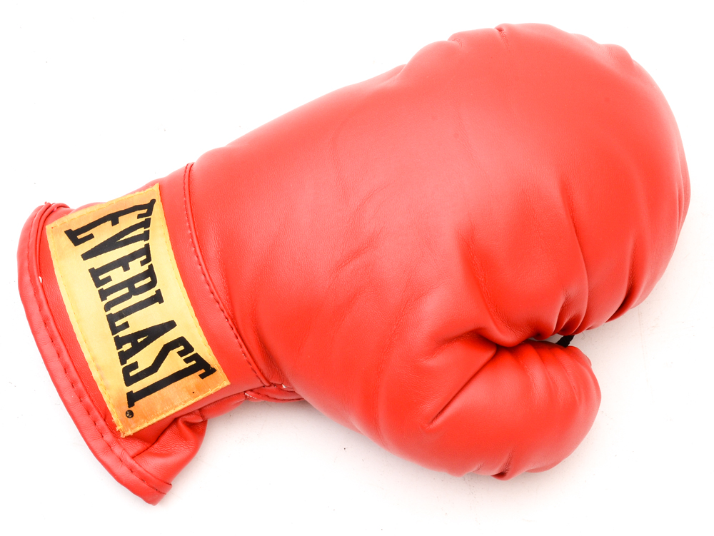 Everlast PowerCore Heavy Bag