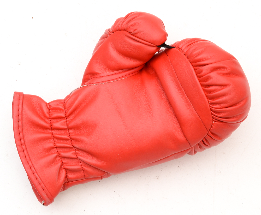 Everlast PowerCore Heavy Bag