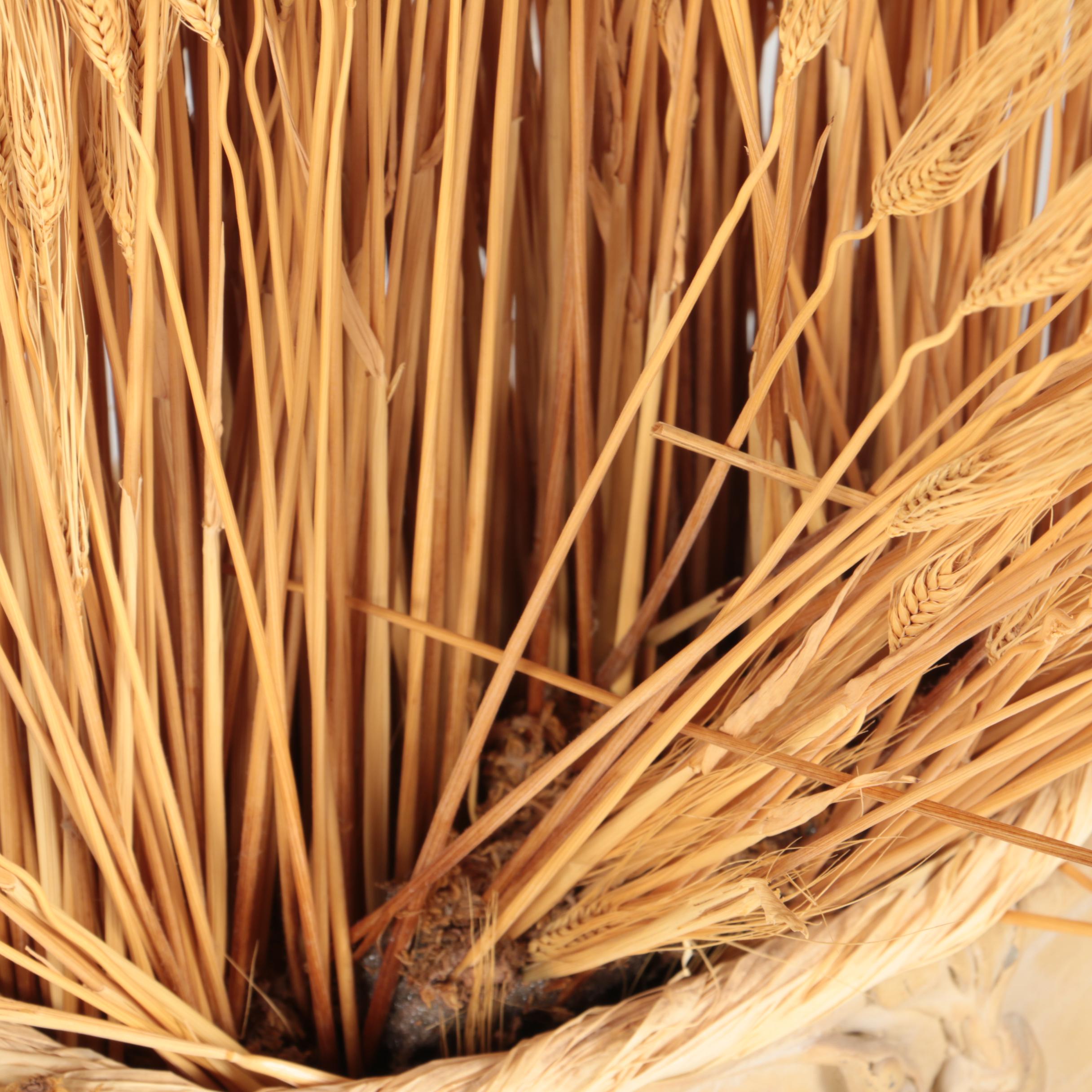 Faux Wheat Stalk Decor