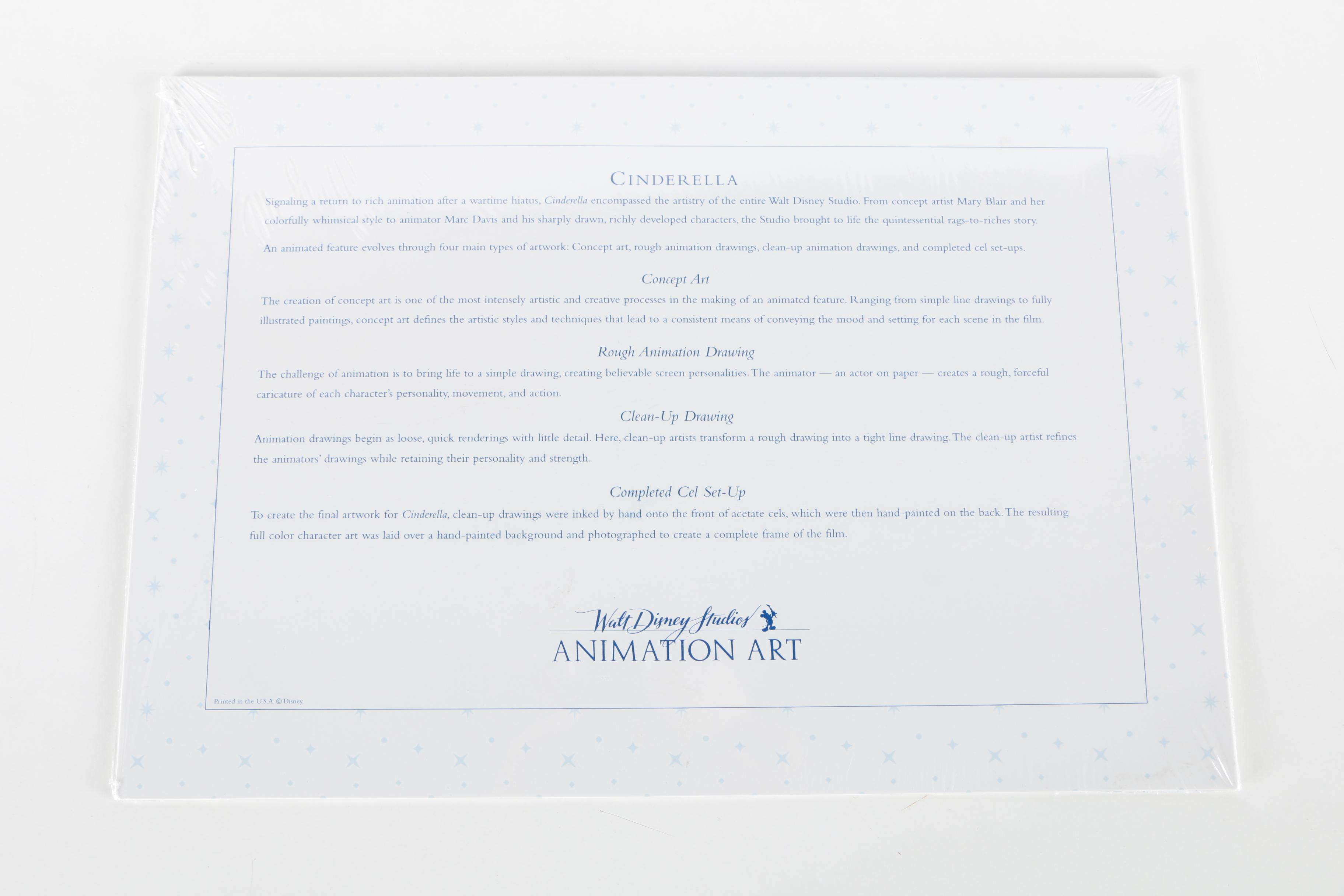 Walt Disney Company Prints