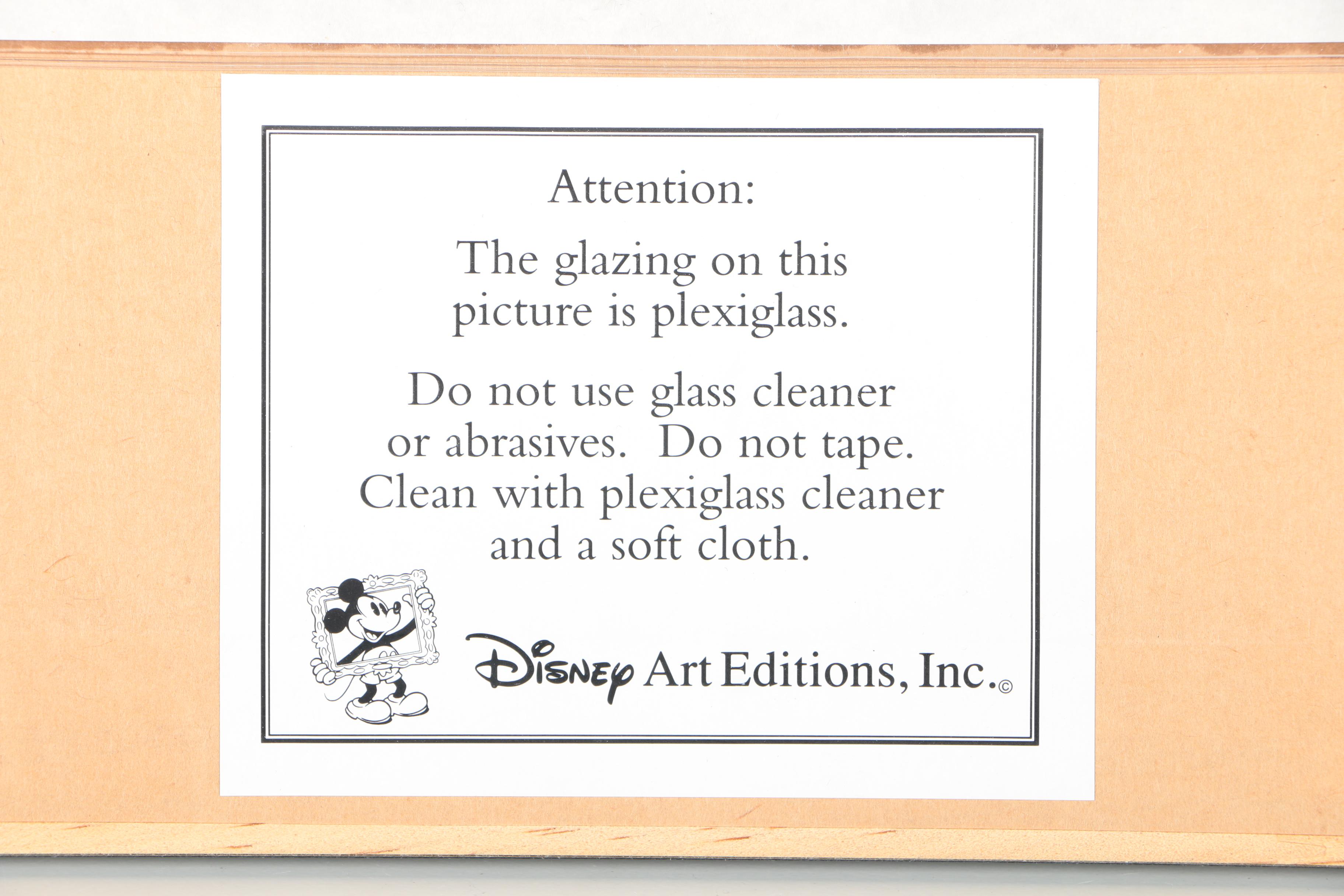 The Walt Disney Company Limited Edition Sericel "The Many Adventures of Winnie the Pooh"